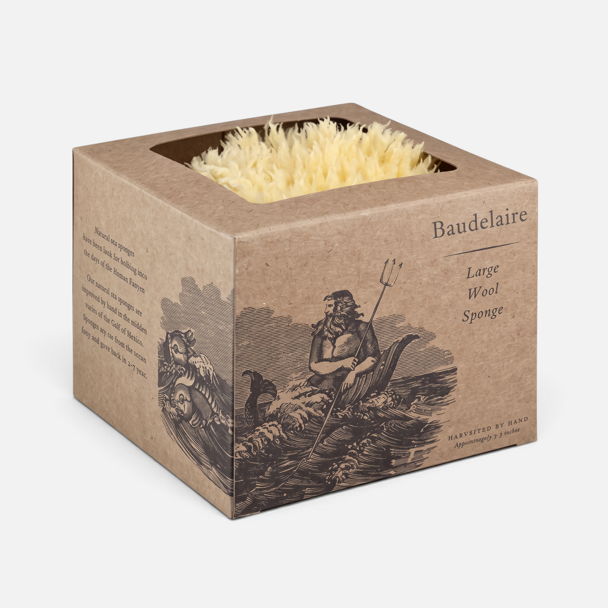 Shop Rescue Spa large natural wool sea sponge in a decorative illustrated cardboard box for luxurious bathing