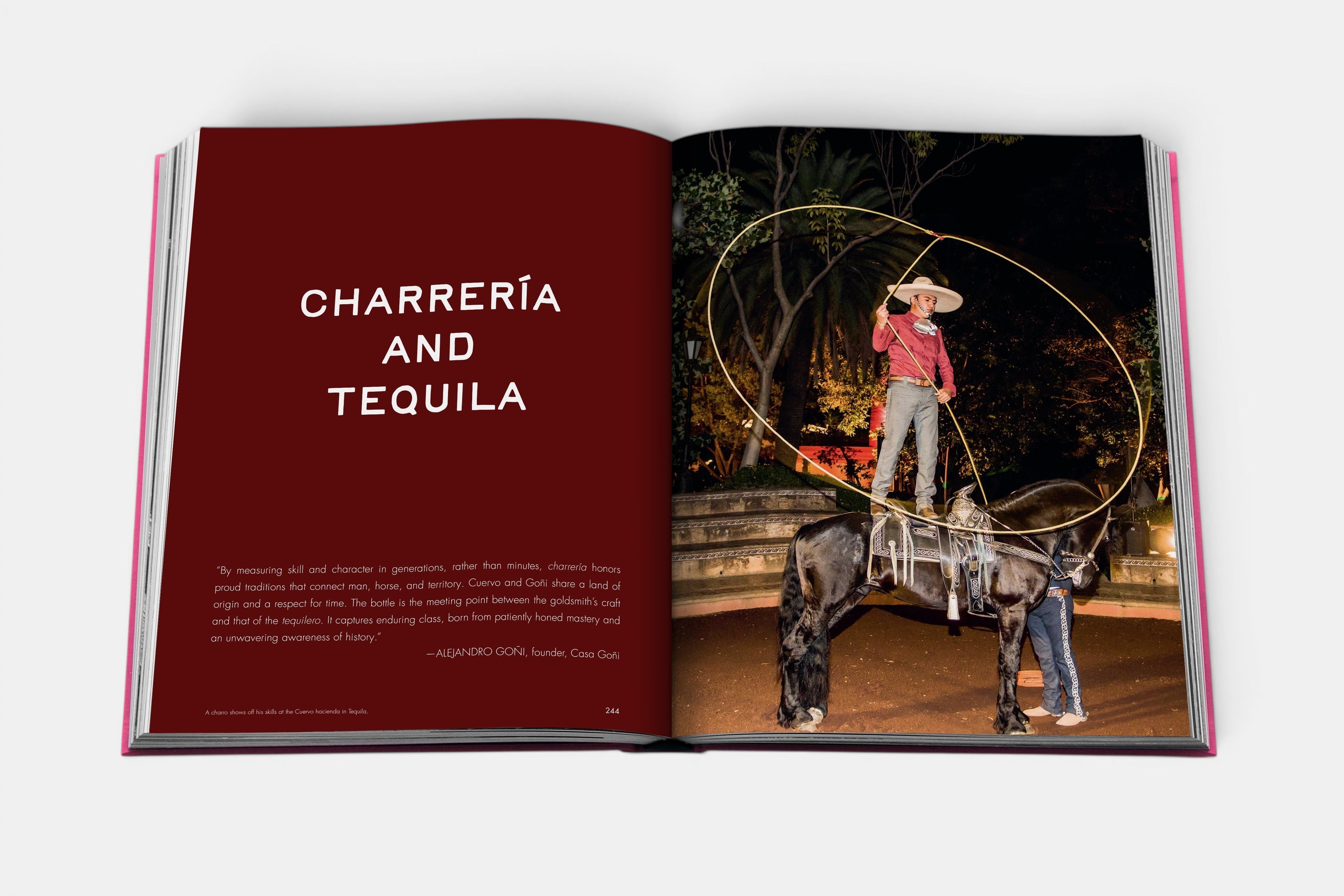 The Art of Tequila: Spirit of Mexico