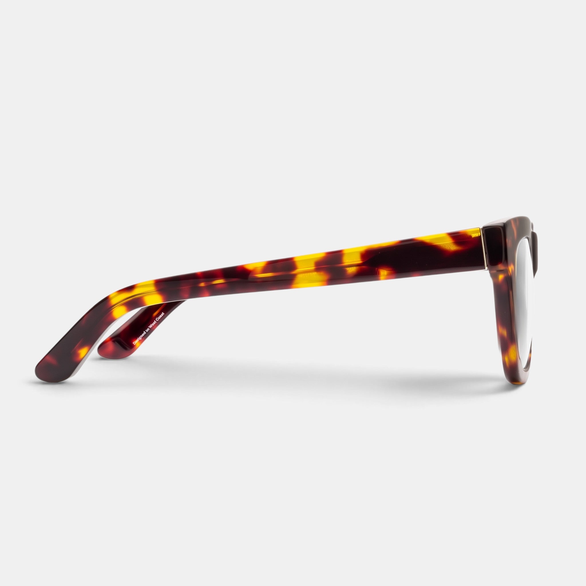 D28 Eye Appliance Turtle (Gloss Tortoise)
