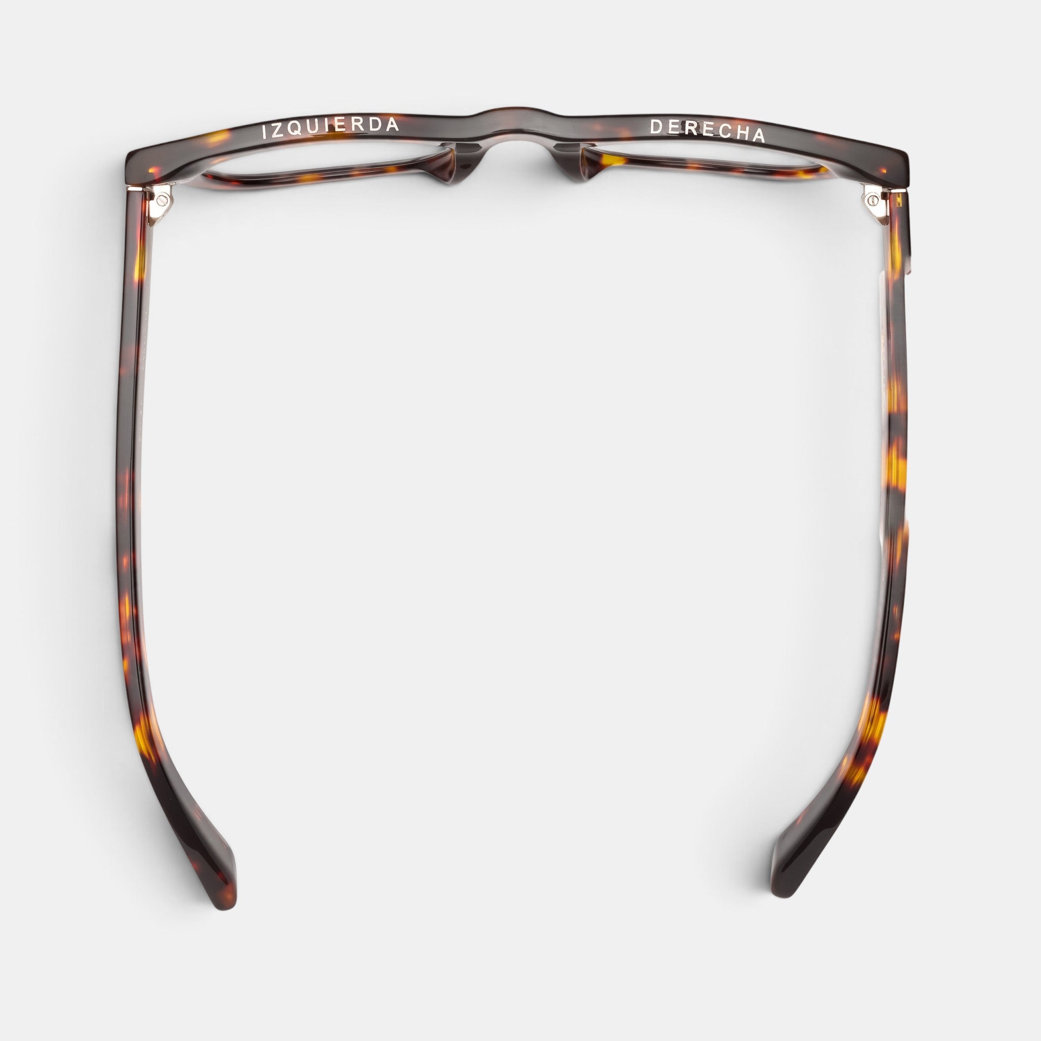D28 Eye Appliance Turtle (Gloss Tortoise)
