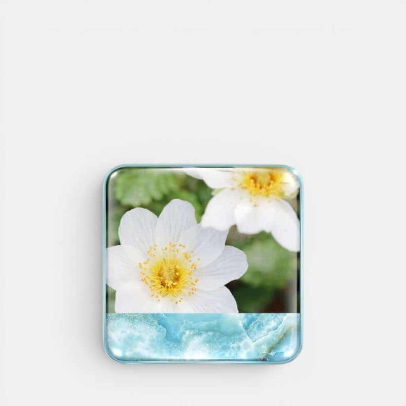 Wild Meadows Blush