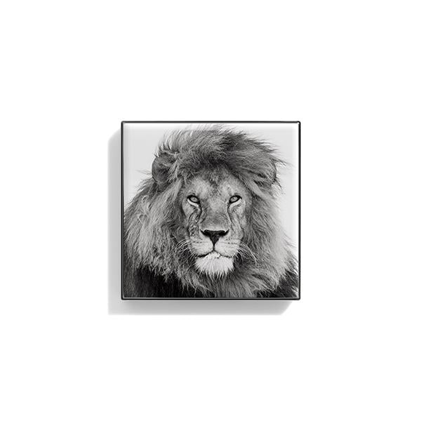 Luminescent Eye Shade