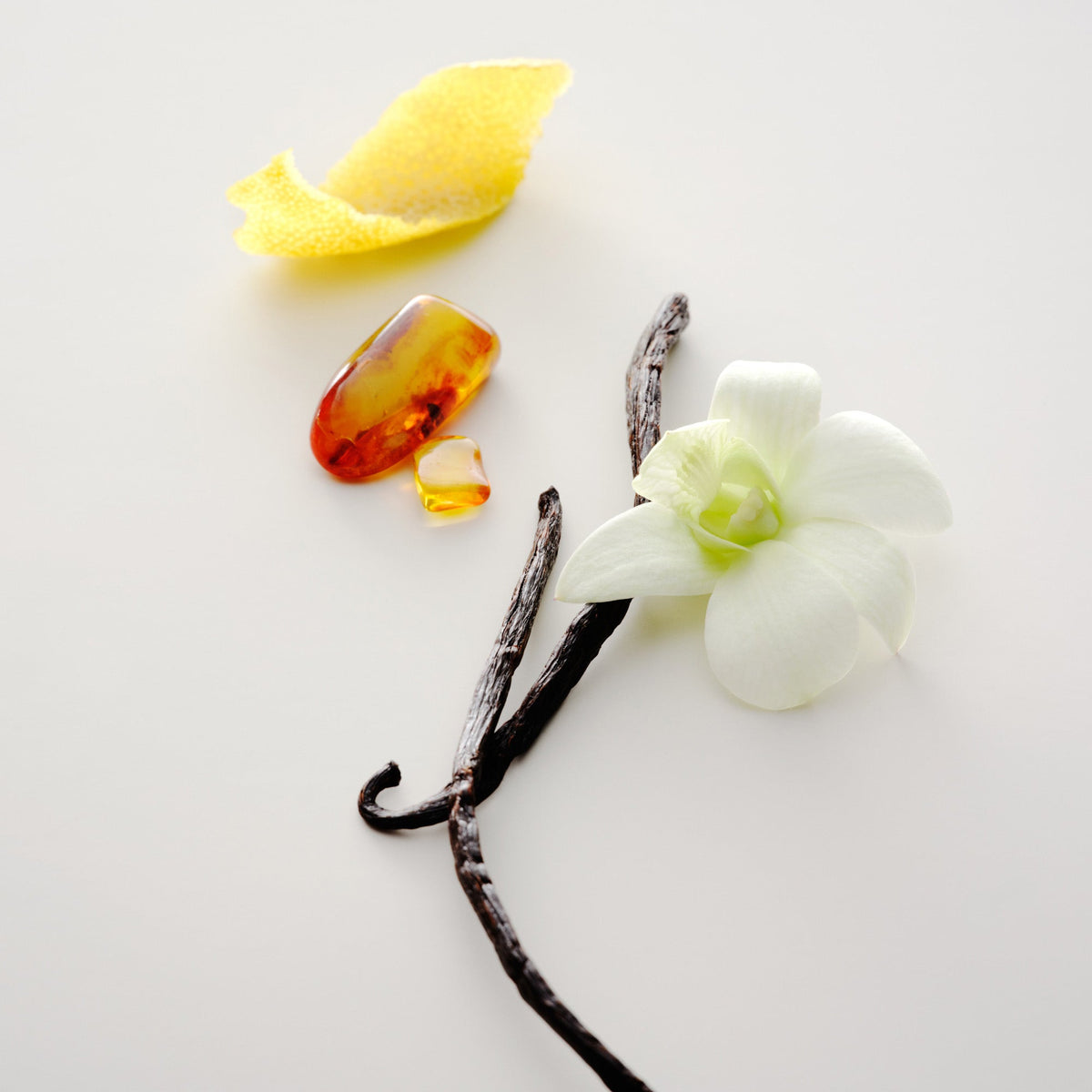 No. 15 Vanille Infinie Candle
