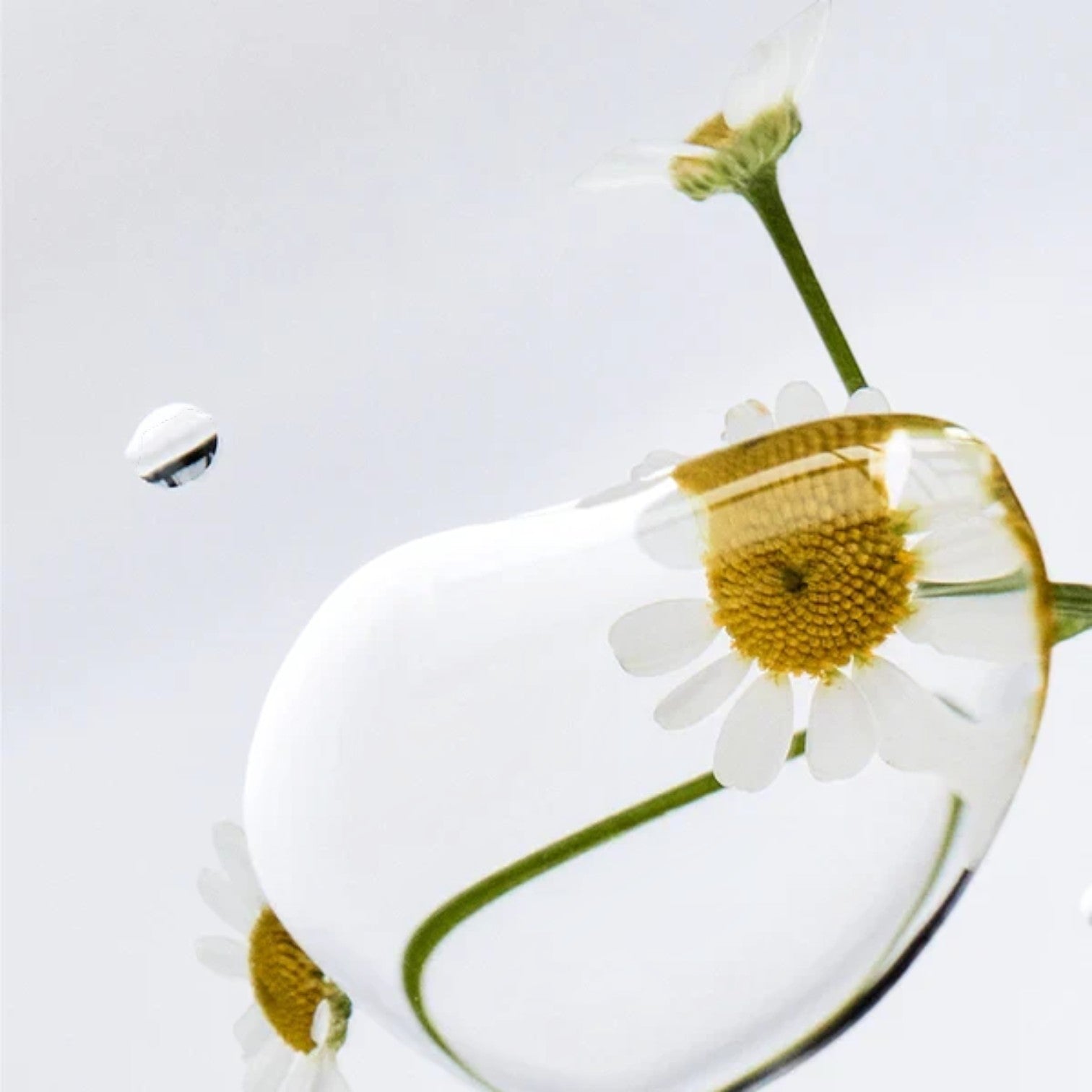 Shop Rescue Spa Danucera Cerabalm multi-purpose cleansing balm texture with chamomile flowers in a clear drop