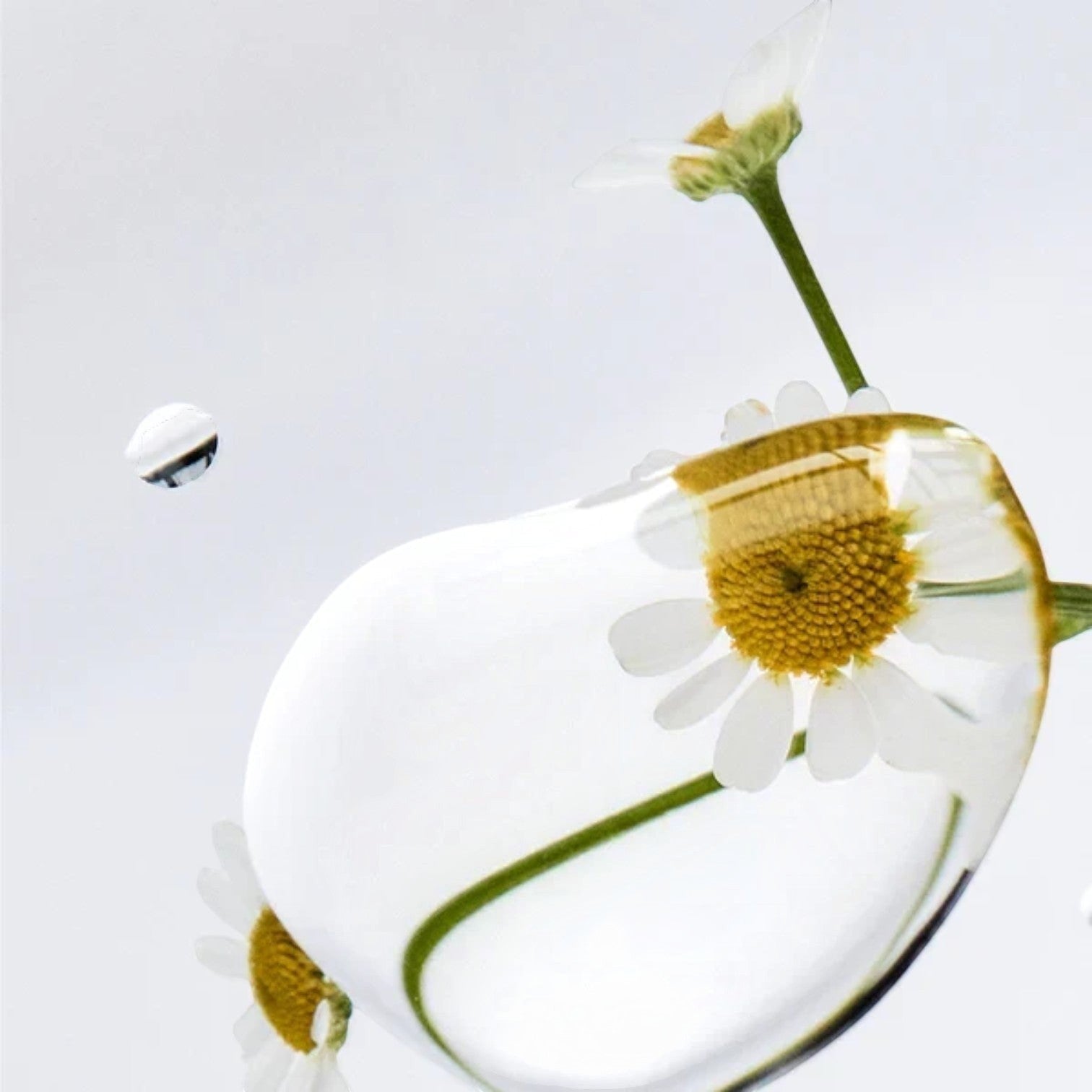 Shop Rescue Spa Danucera Cerabalm multi-purpose cleansing balm texture with chamomile flowers in a clear drop