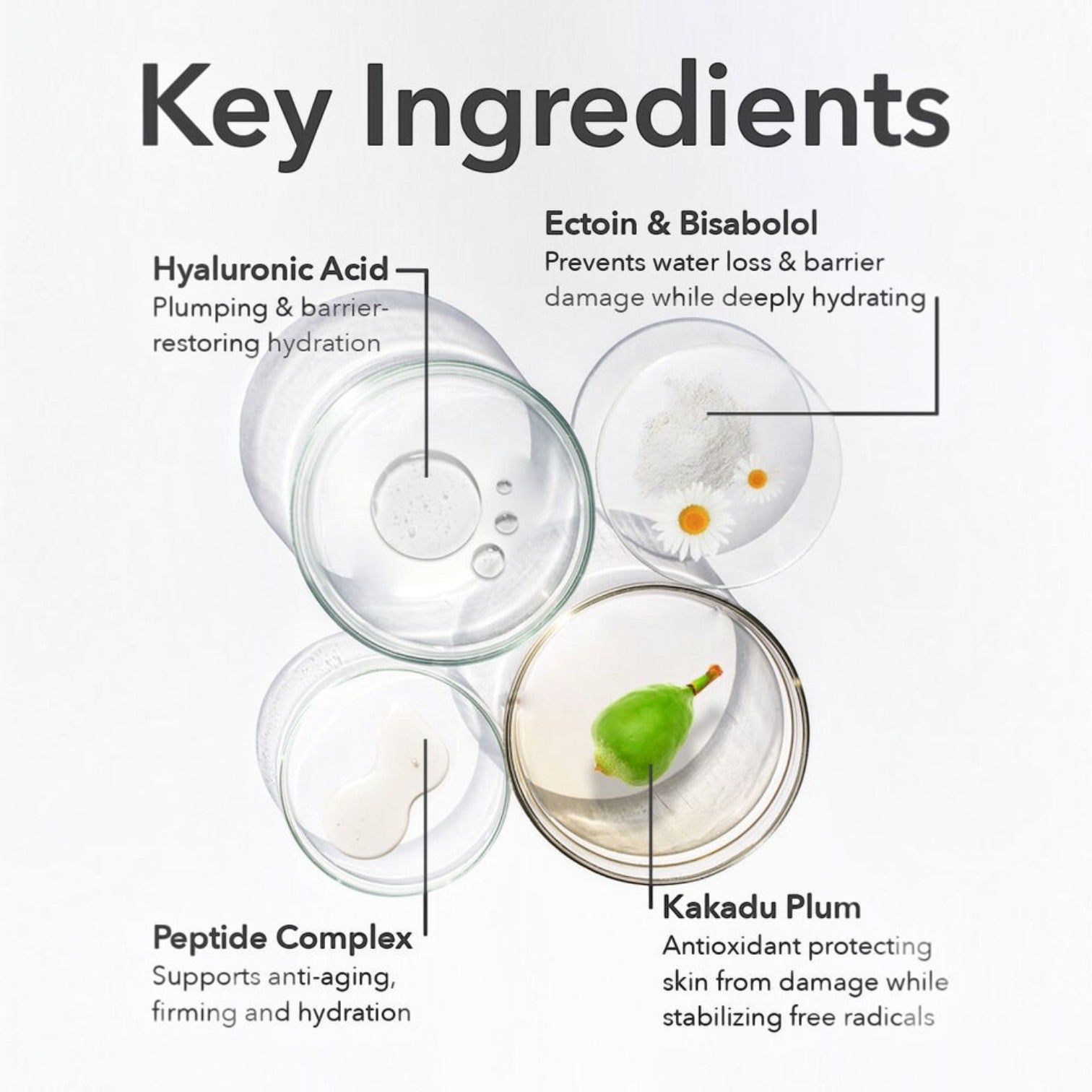 Shop Rescue Spa DermInfusions eye cream ingredient breakdown showing hyaluronic acid, ectoin, bisabolol, and kakadu plum.