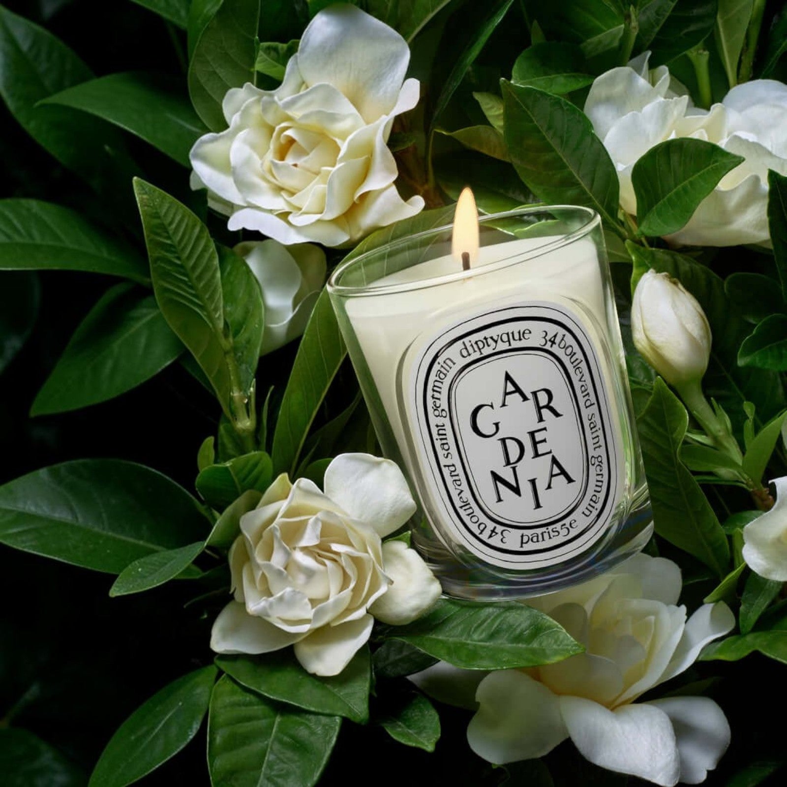 Shop Rescue Spa Gardenia scented candle in a glass vessel surrounded by fresh white gardenia flowers and green leaves.