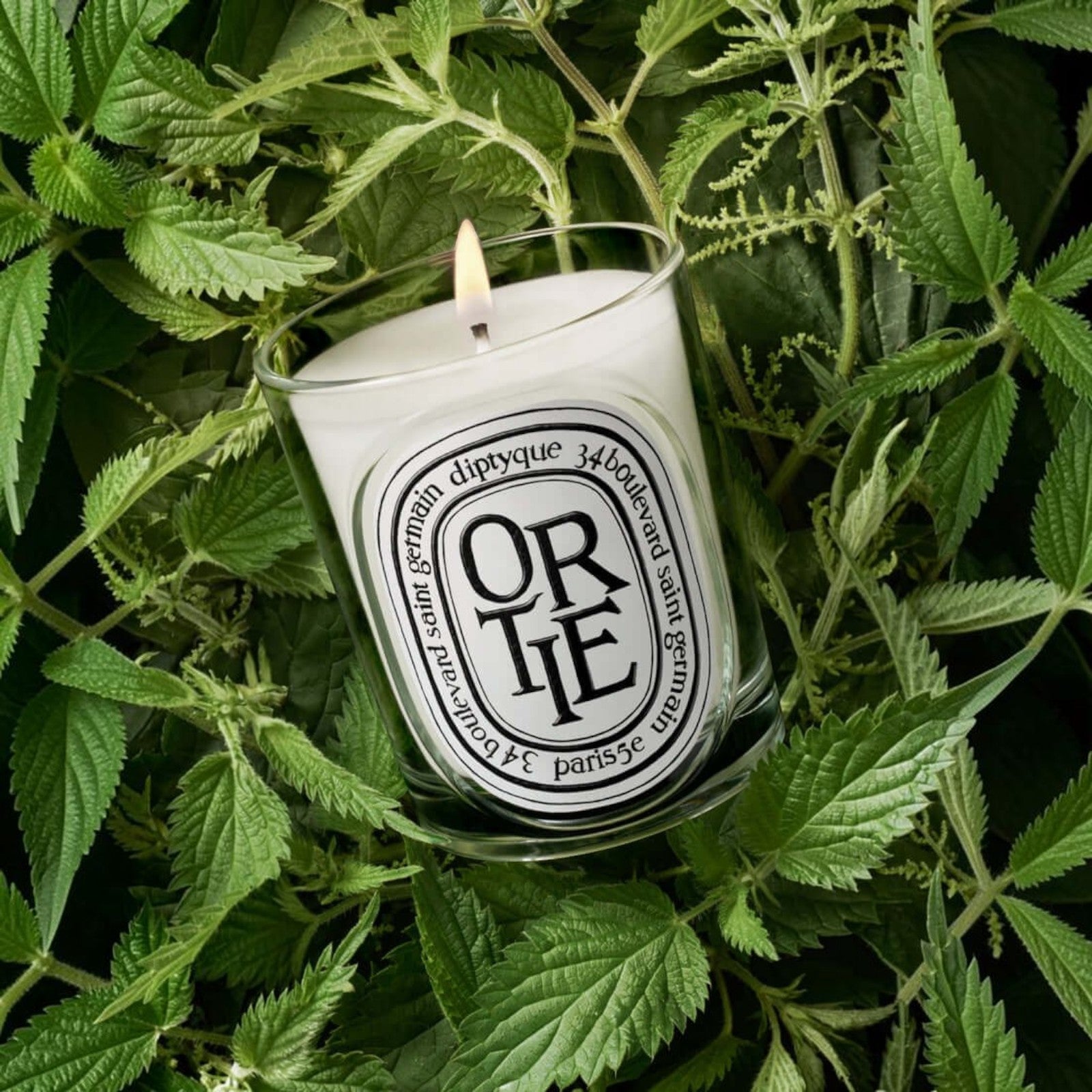 Shop Rescue Spa Ortie scented candle in a glass vessel, surrounded by fresh green nettle leaves.