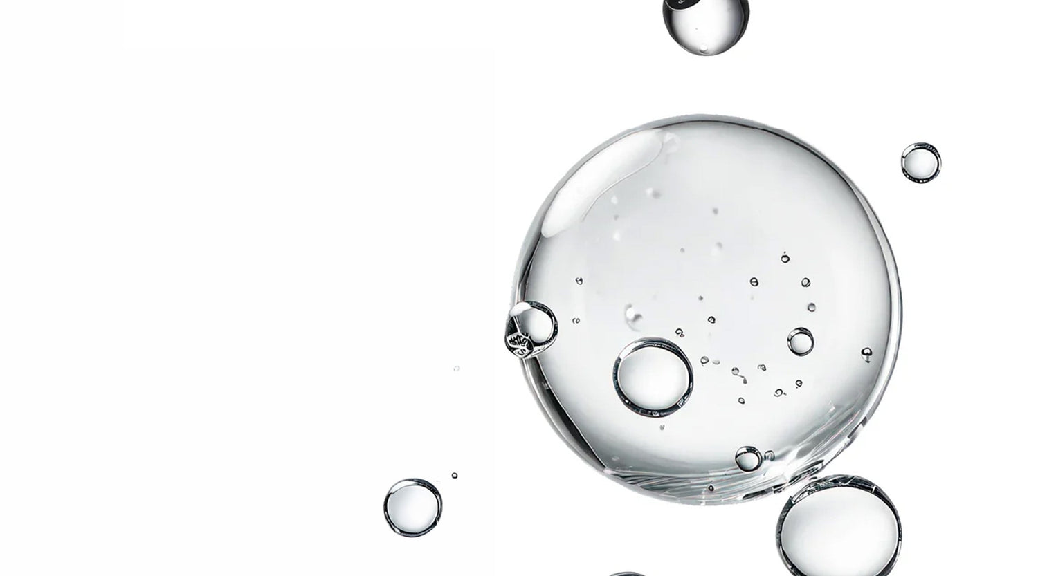 Niacinamide, NAD+ and the New Language of Longevity