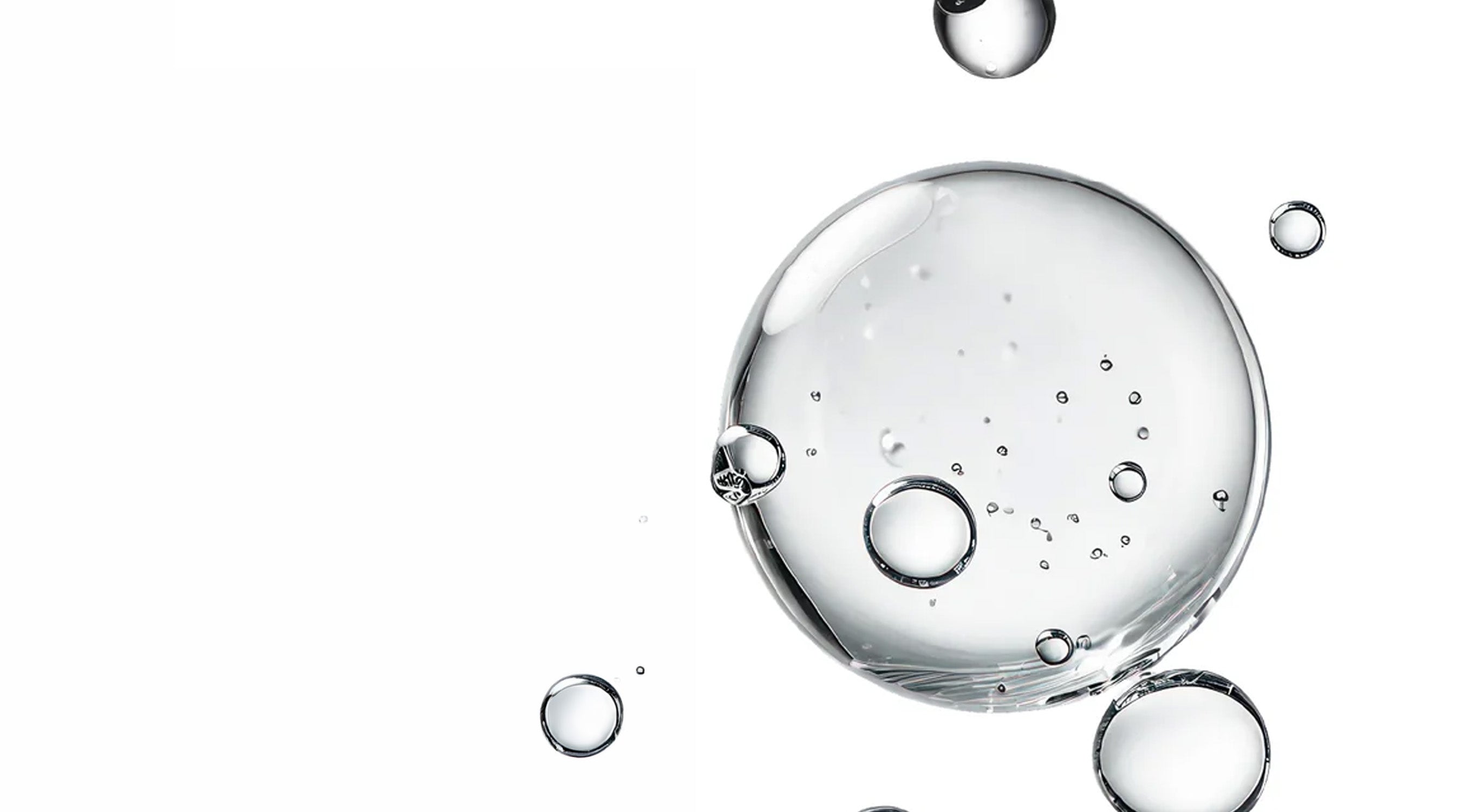 Niacinamide, NAD+ and the New Language of Longevity