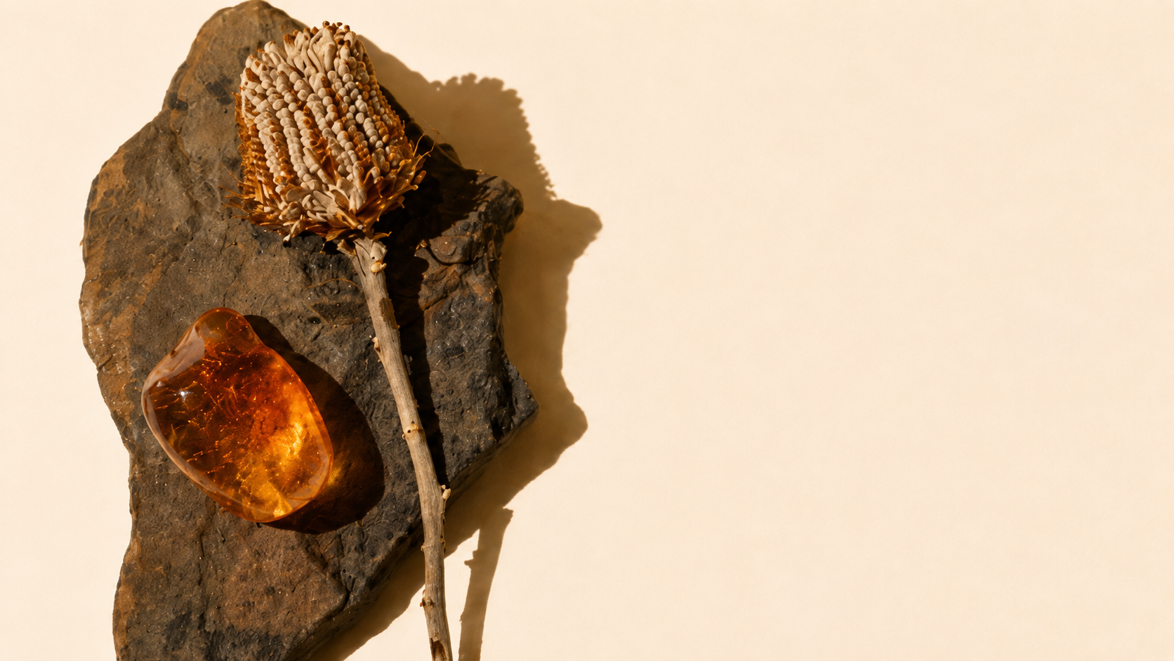 Amber and Oriental Scents: The Complete Guide to Perfumery’s Richest Family
