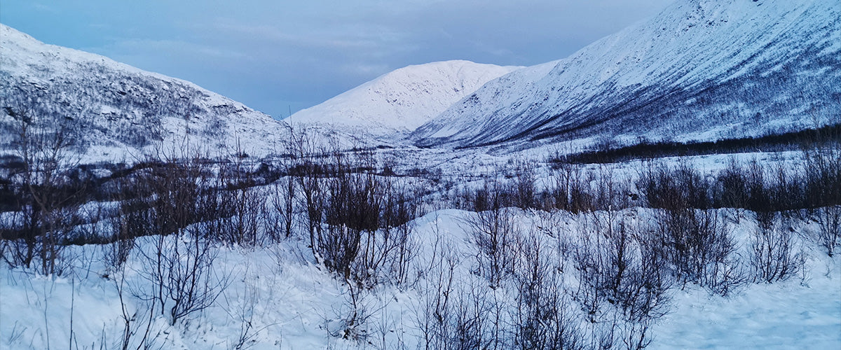 The Winter Cocoon: The Season to Restore, Refine, and Rejuvenate