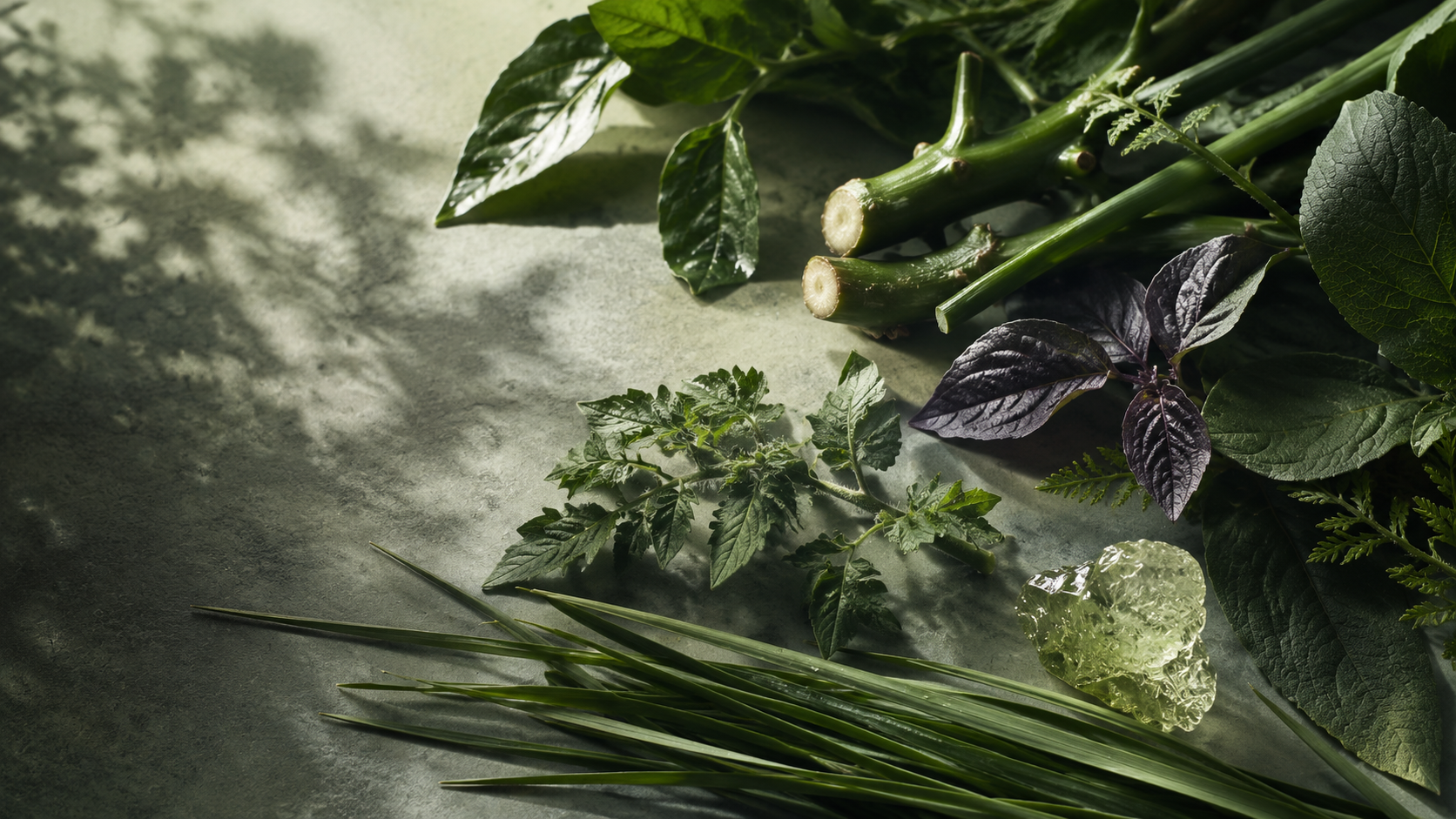 Green Scents: The Crispest, Most Underrated Fragrance Family