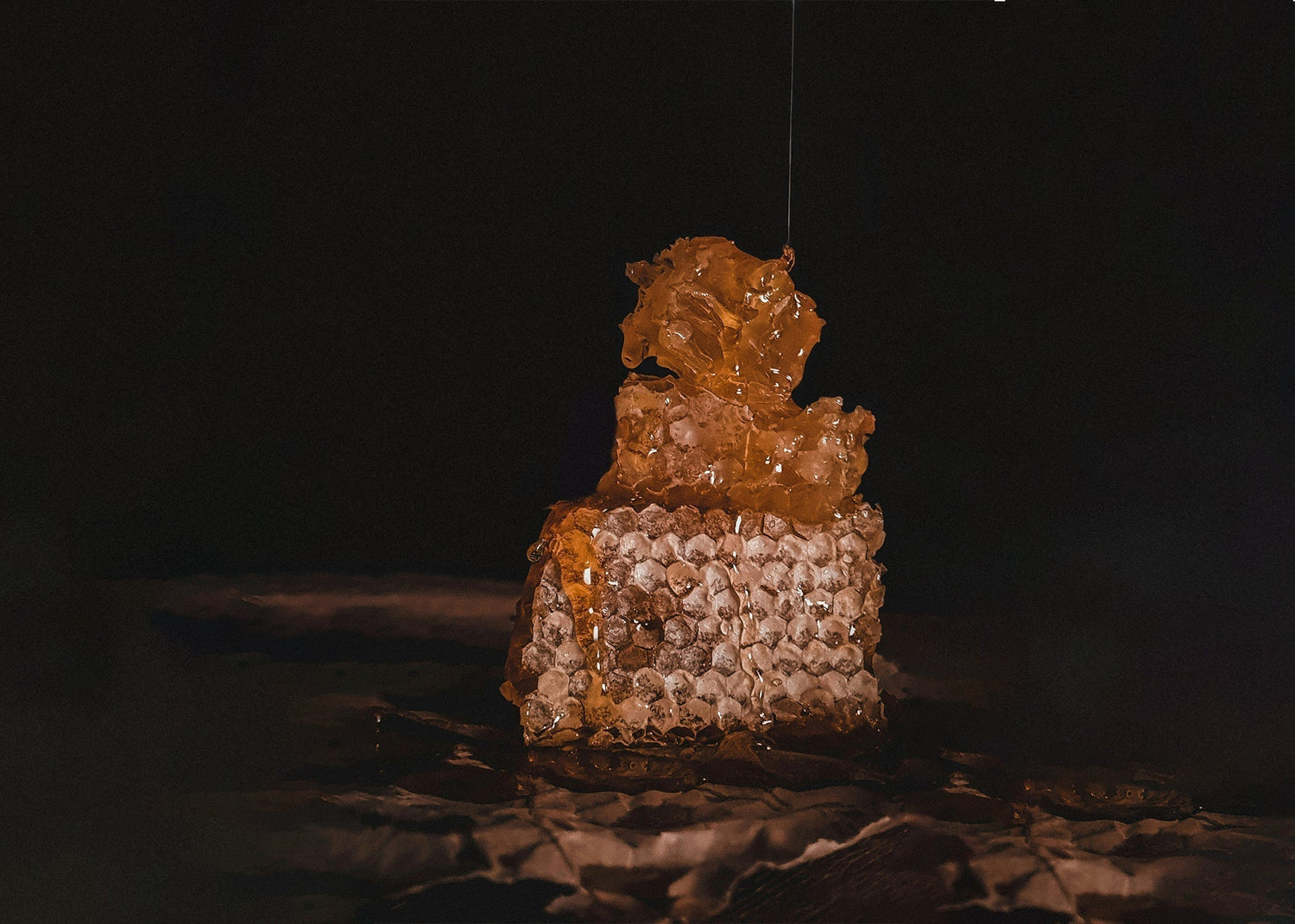 When Scent Became Edible: The Invention and Evolution of the Gourmand