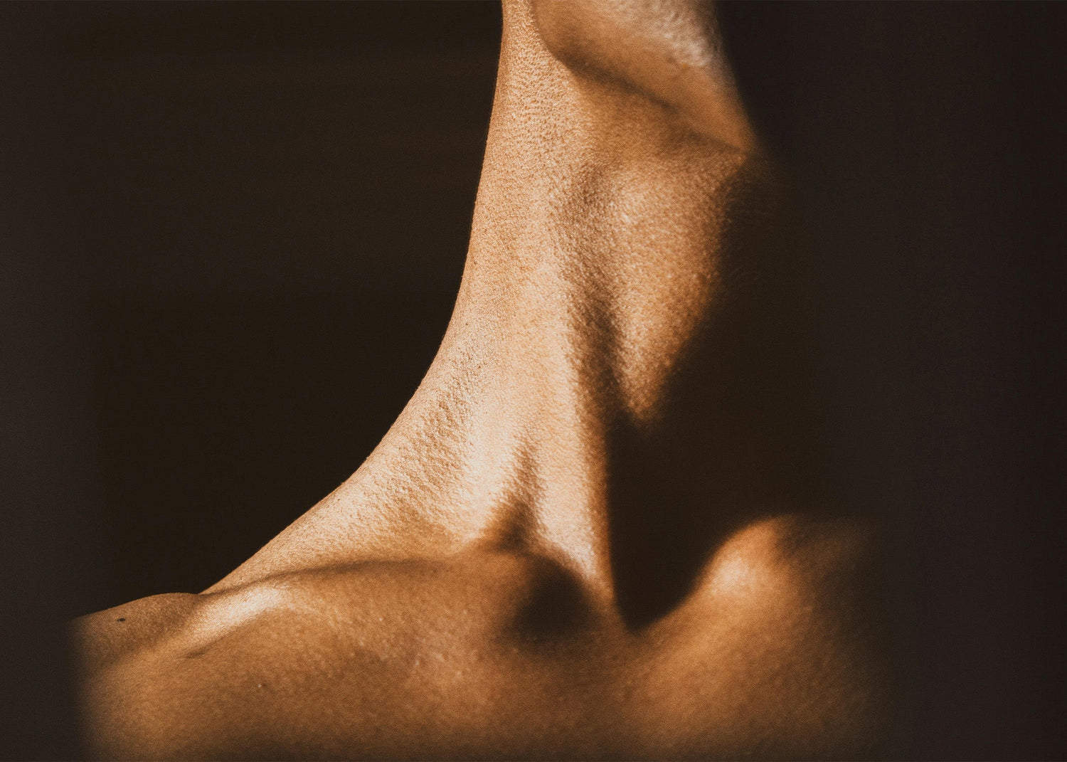 The Best Neck Creams: What to Look For Beyond the Marketing