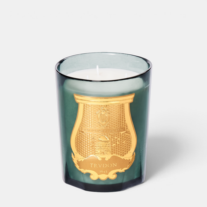 Shop Rescue Spa Figuerie candle in a dark green glass vessel with an ornate gold emblem and three white wicks