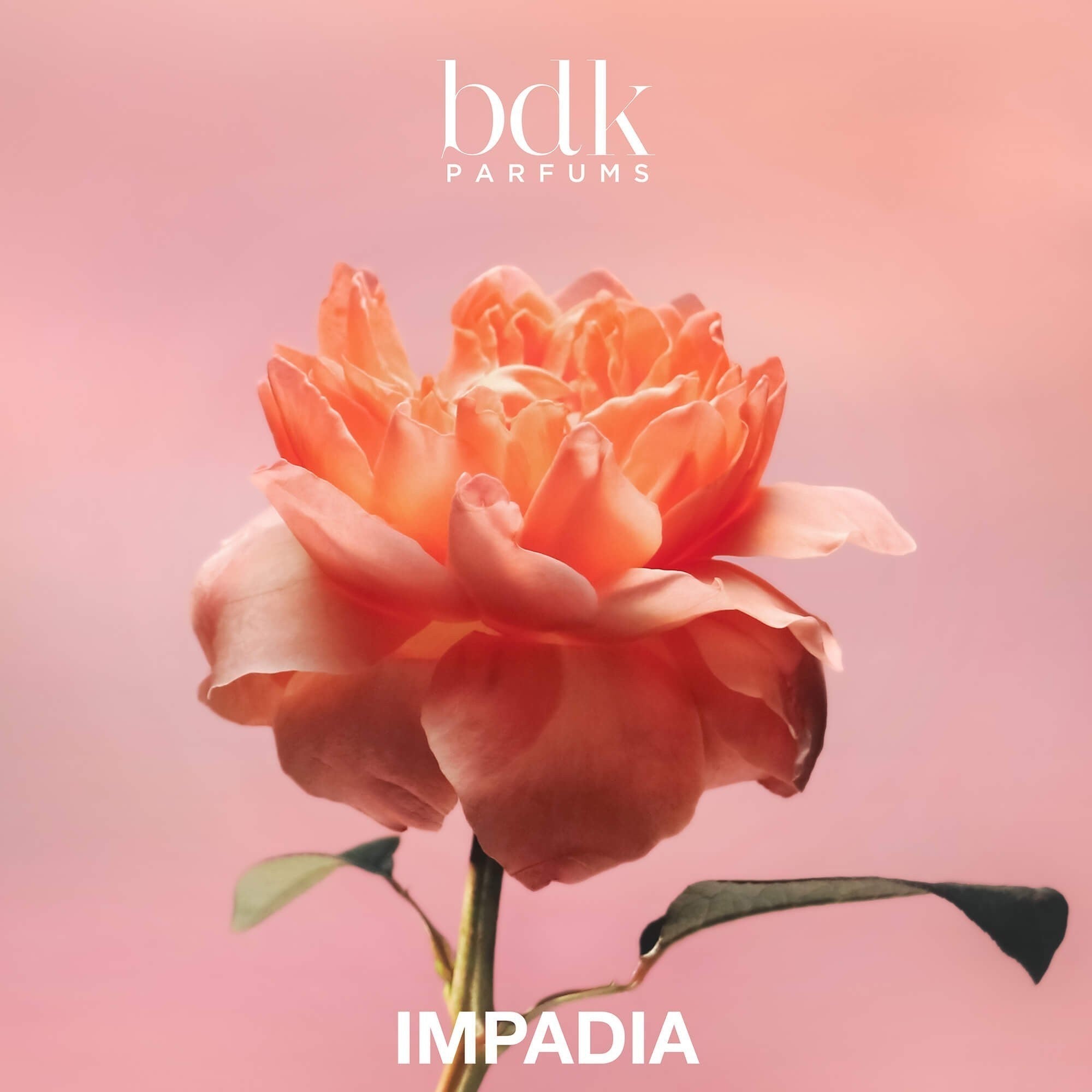 Impadia | BDK Parfums | Shop Rescue Spa