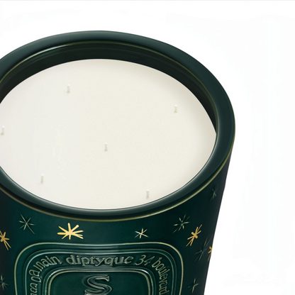 Shop Rescue Spa Diptyque Sapin holiday candle in a dark green vessel with gold star accents and white wax