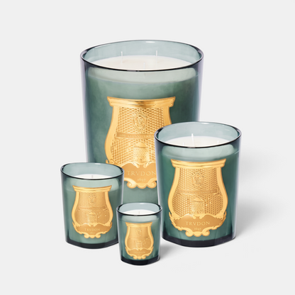 Shop Rescue Spa Figuerie scented candles in green glass vessels with gold embossed emblems in four different sizes.