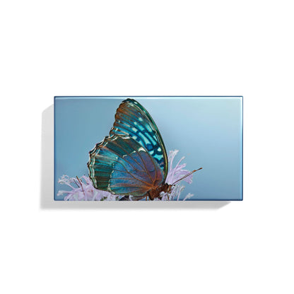 Spring 2025 Eye Trio