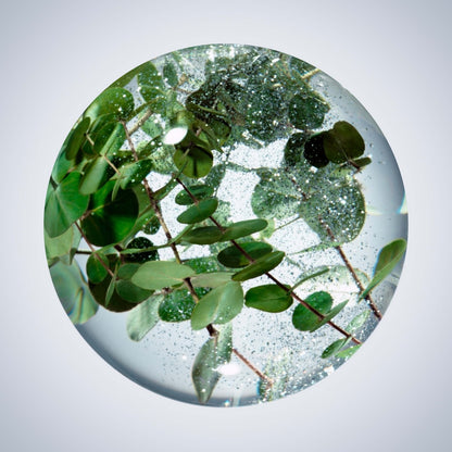 Concentrated Brightening Serum 40ml