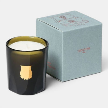 Spiritus Sancti Classic Candle