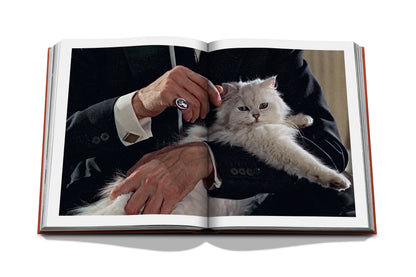 Chic Cats
