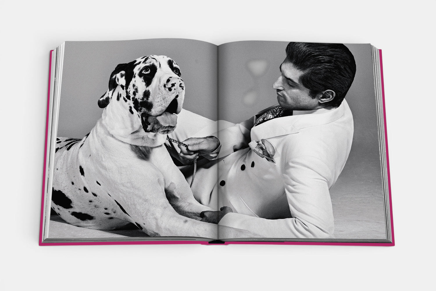 Chic Dogs