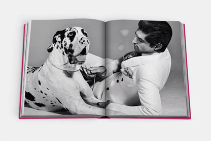 Chic Dogs