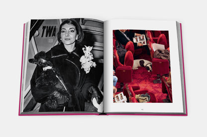 Chic Dogs