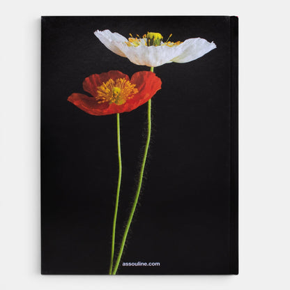 Flowers: Art &amp; Bouquets