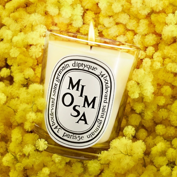 Mimosa Candle - New Vessel | Diptyque | Shop Rescue Spa
