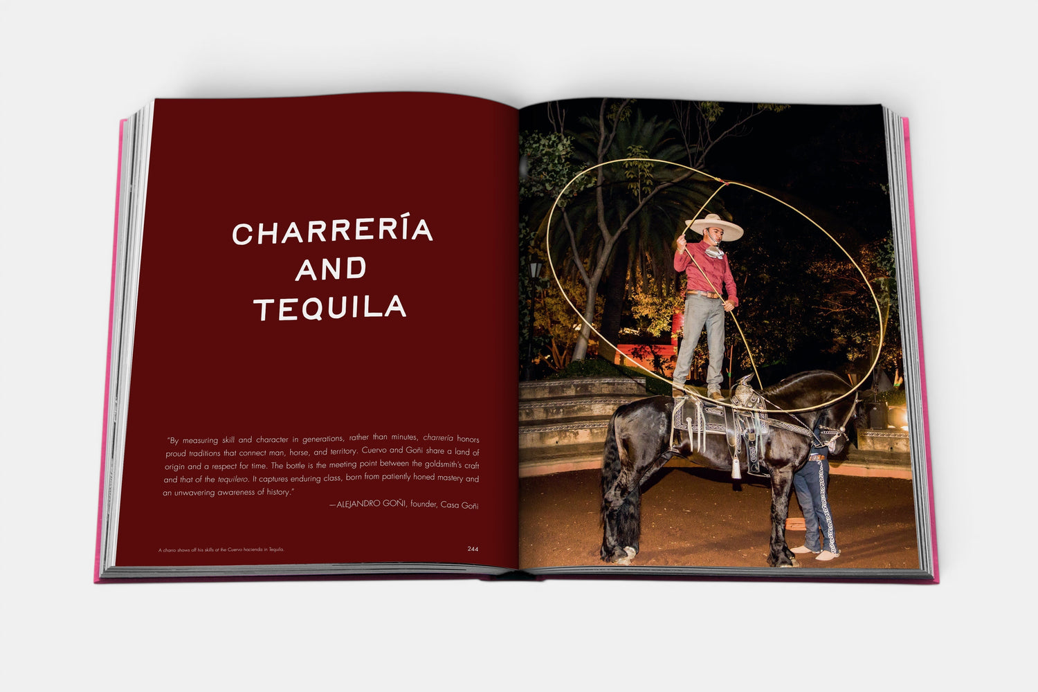 The Art of Tequila: Spirit of Mexico