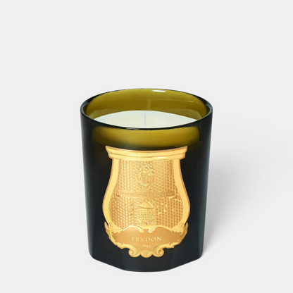 Shop Rescue Spa Trudon Ernesto scented candle in a dark green glass vessel with a gold emblem on a white background.