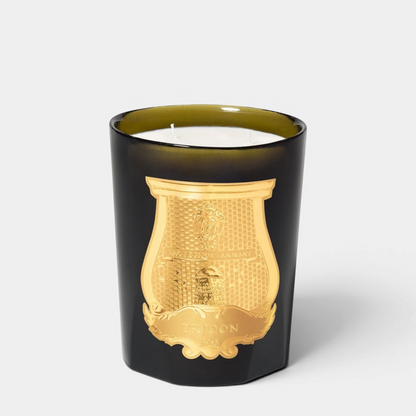 Shop Rescue Spa Trudon Ernesto scented candle in a dark green glass vessel with a gold emblem on a white background.