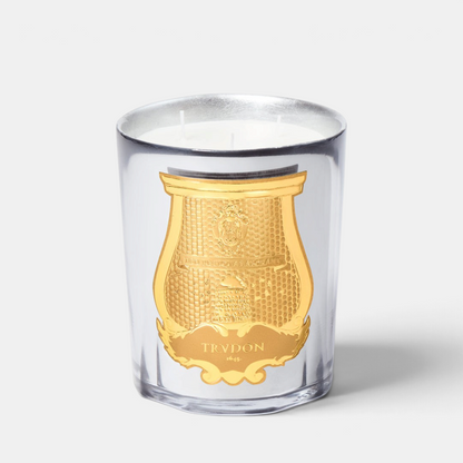 Shop Rescue Spa Trudon Cabinet des Miroirs candle in a celadon glass vessel with silver leaf and gold emblem