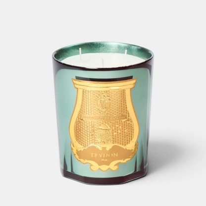 Shop Rescue Spa Fir holiday candle in a celadon mirror-finish glass with a gold emblem and silver leaf interior.