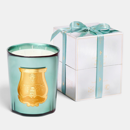 Shop Rescue Spa Trudon Fir holiday candle in a celadon mirror-finish glass with gold emblem and matching gift box