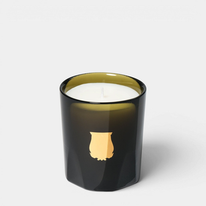 Shop Rescue Spa Trudon Ernesto scented candle in a dark green glass vessel with a gold emblem and white wax.