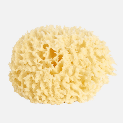 Shop Rescue Spa small natural wool sea sponge for luxurious bathing with a soft, porous texture