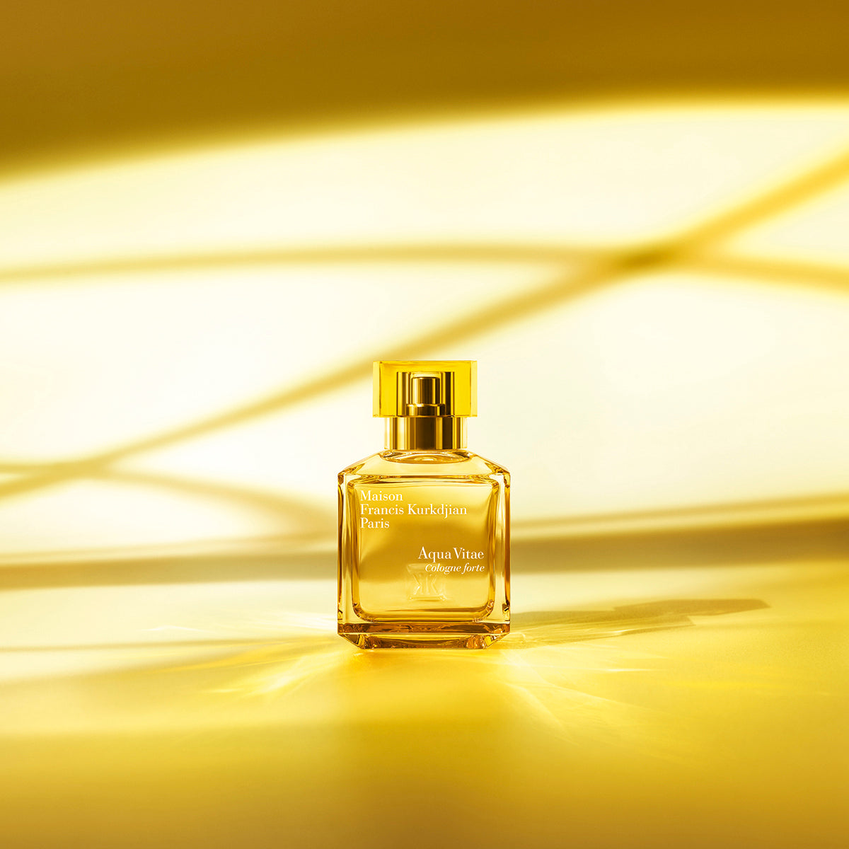 Maison Francis Kurkdjian Paris | Aqua Vitae Cologne forte Eau De