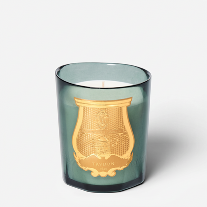 Shop Rescue Spa Figuerie candle in a green glass vessel with a gold embossed Trudon crest label
