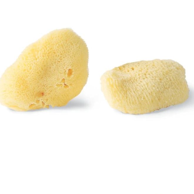 Silk Sea Sponges Pack of Two