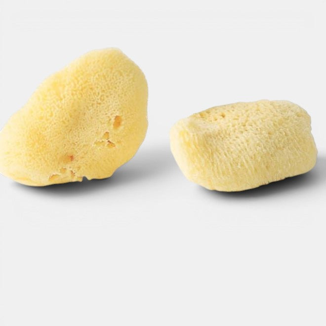 Silk Sea Sponges Pack of Two