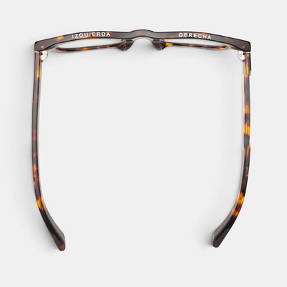 D28 Eye Appliance Turtle (Gloss Tortoise)