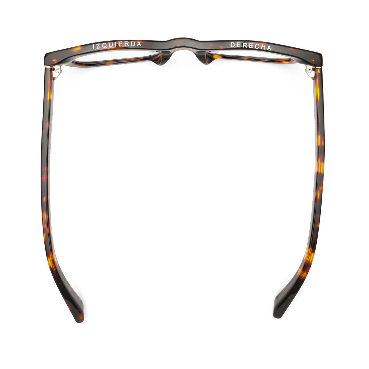 D28 Eye Appliance Turtle (Gloss Tortoise)