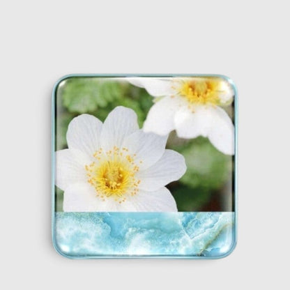 Wild Meadows Blush