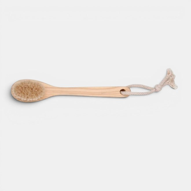 Cedar Long-Handle Complexion Brush