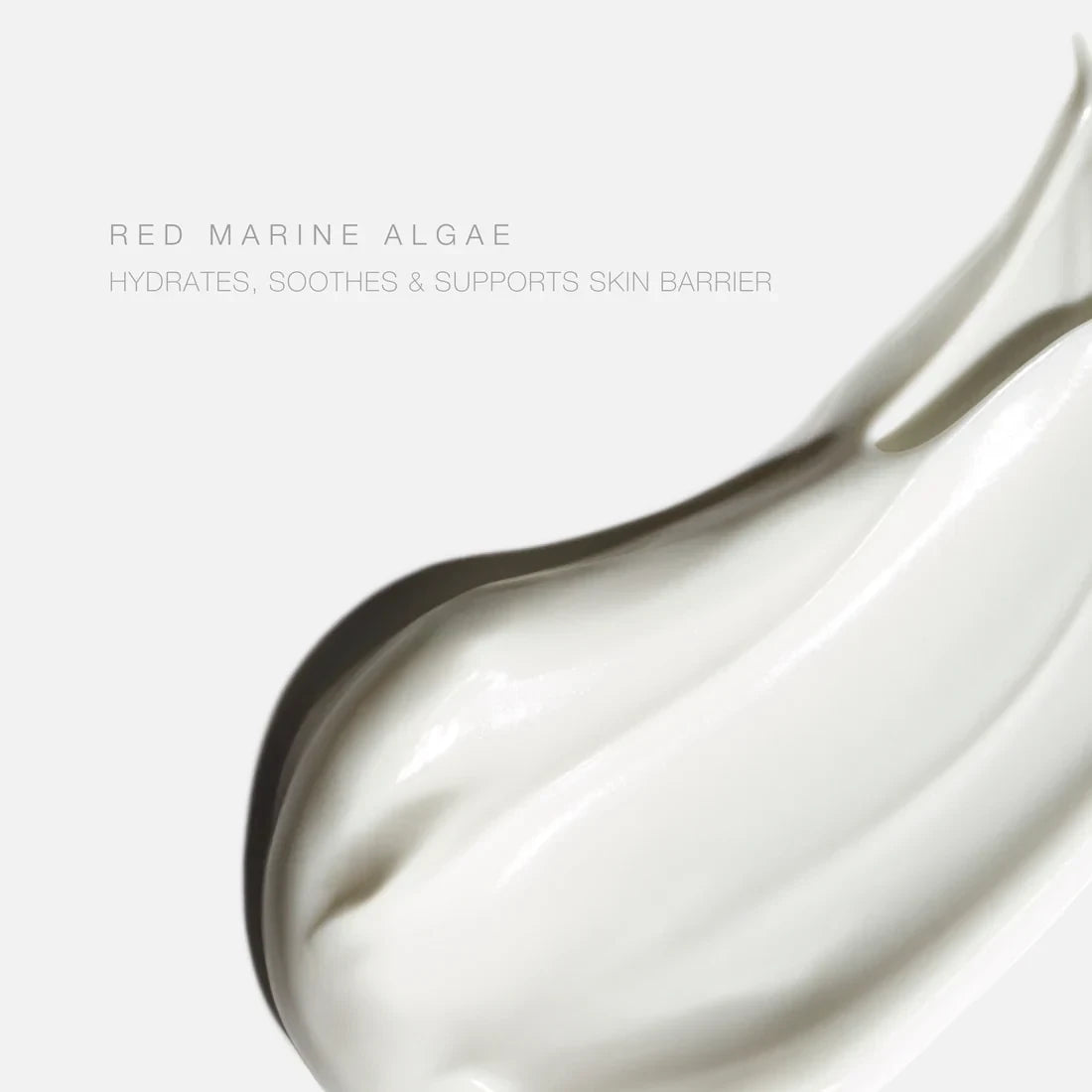 SPF 30 Mineral Body Lotion