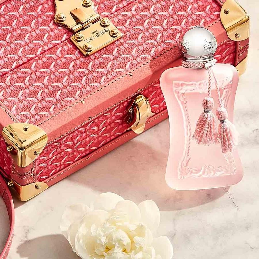 No | Delina La Rosee | Shop Rescue Spa